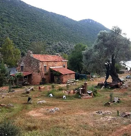 Hiker's Inn-purple House *