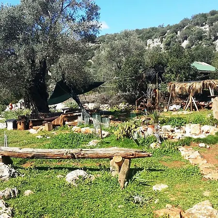 Hiker's Inn-purple House Kaleüçağız