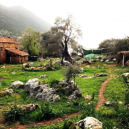 Hiker's Inn-purple House Konukevi Kaleüçağız