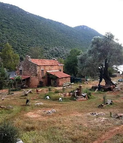 Hiker's Inn-purple House *