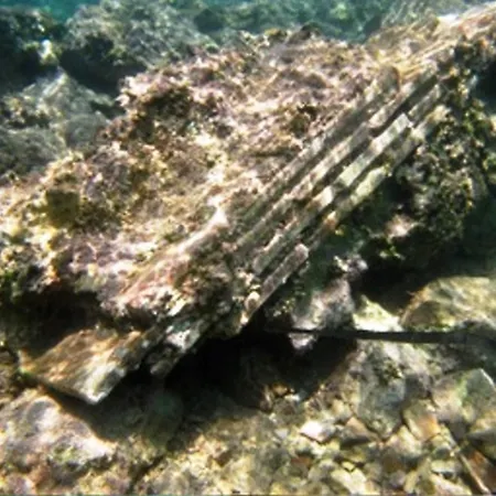 Hiker's Inn-purple House Kaleucagız