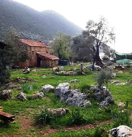 Hiker's Inn-purple House