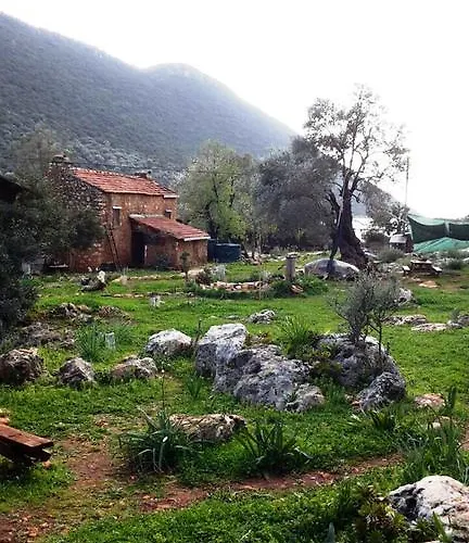 Hiker's Inn-purple House