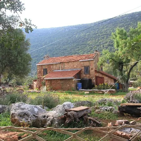 Hiker's Inn-purple House Kaleüçağız
